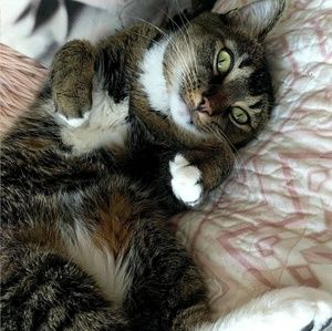 Meet your Posher, Alyssa